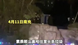 垃圾池爆料视频,视频内容深度解析