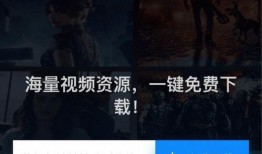 外国玩家爆料视频下载,下载视频背后的秘密与挑战